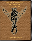 (image for) The Brown Hornet Intensive Tutorial